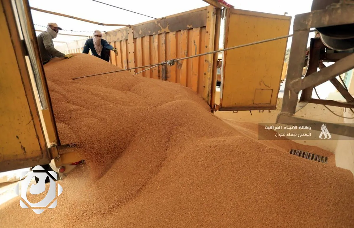 توقعات بتسويق 70 ألف طن من الحنطة في سايلو عانة بالأنبار