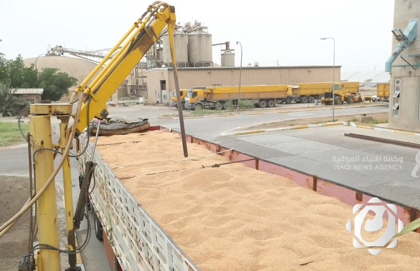 العراق يحقق الاكتفاء الذاتي من الحنطة للعام الثالث على التوالي