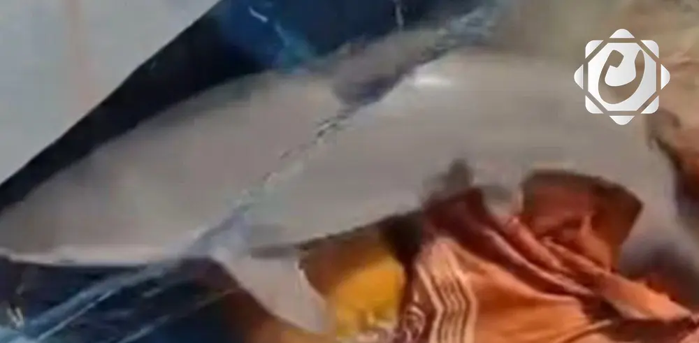 تحذير من السباحة في شط العرب بعد صيد سمكة قرش