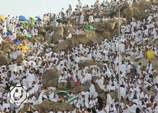 الحجاج يتوافدون إلى عرفات لأداء ركن الحج الأعظم في أجواء منظمة