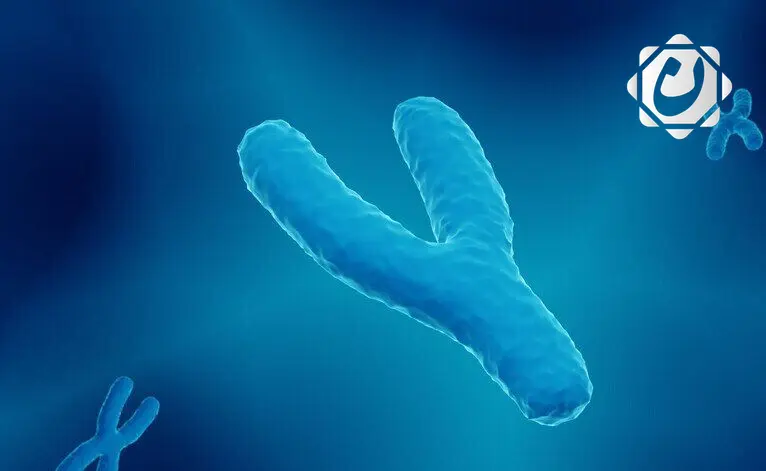 دراسة تكشف العلاقة بين فقدان الكروموسوم Y وضعف المناعة ضد السرطان لدى الرجال