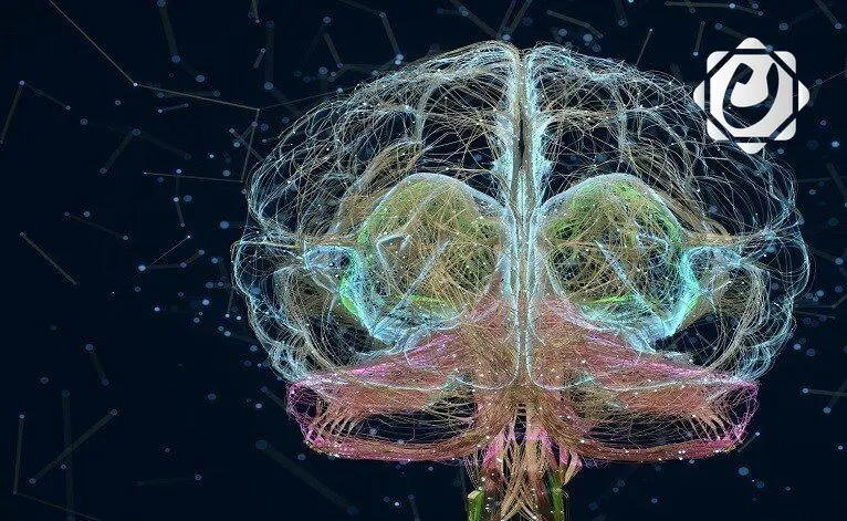 دراسة تكشف آلية تمييز الدماغ بين الواقع والخيال