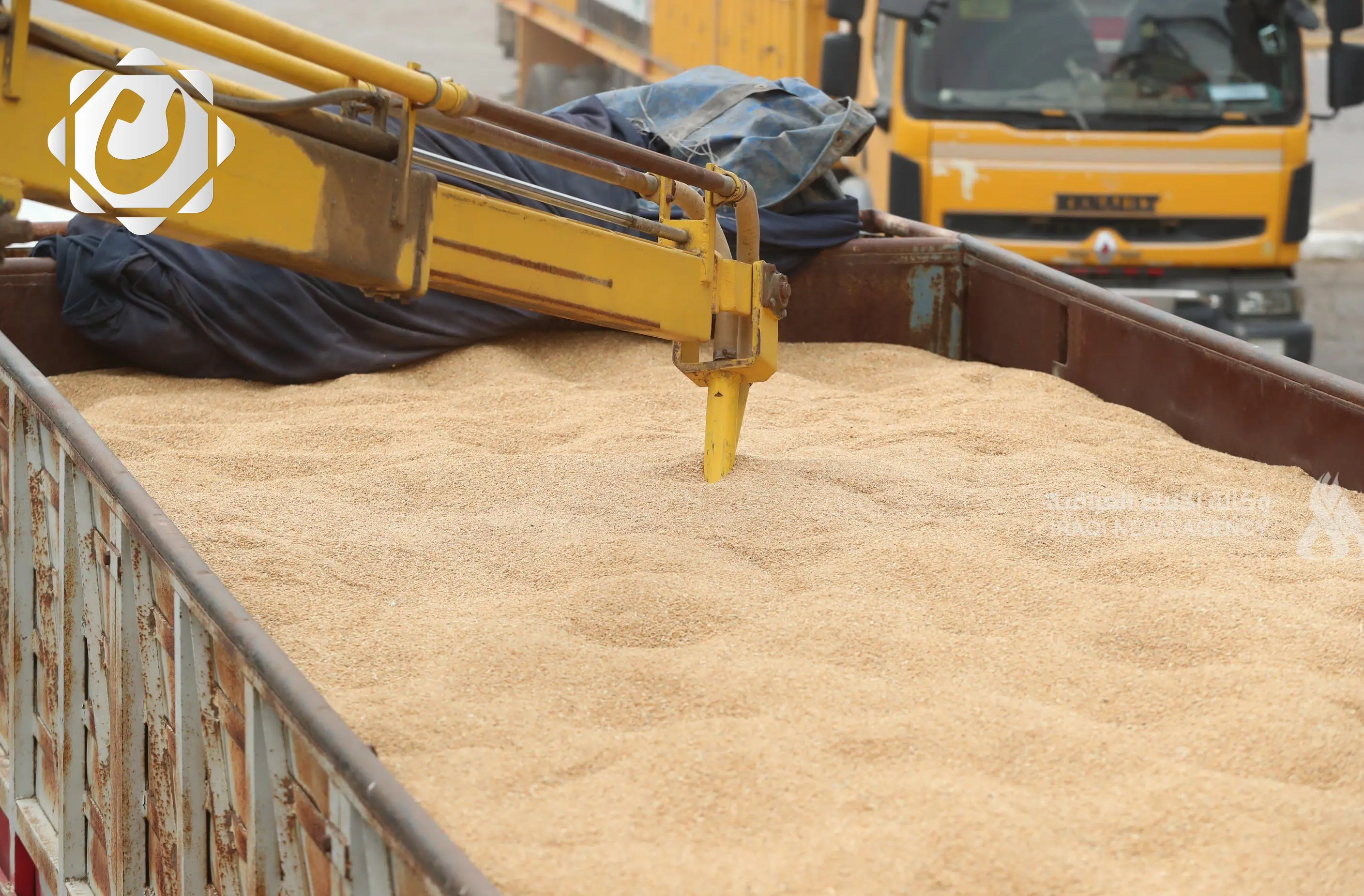 استلام 408 آلاف طن من الحنطة في الأنبار واستمرار موسم التسويق