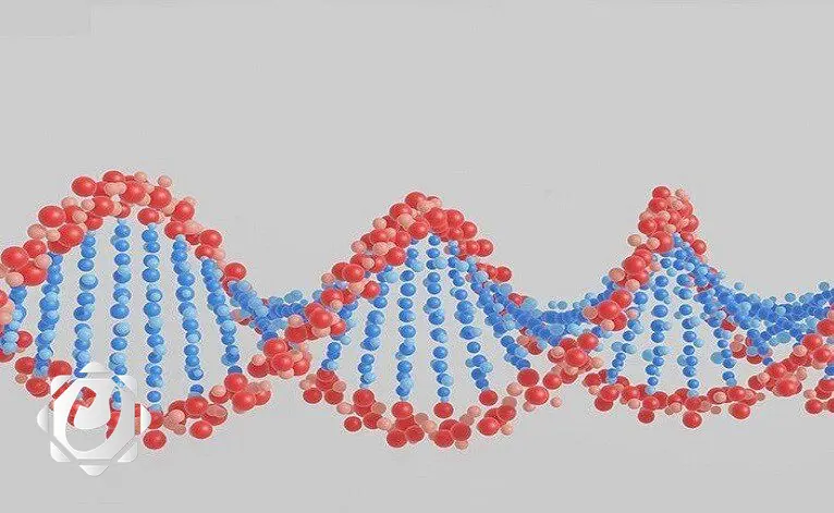 اكتشاف بروتين في أستراليا يمكنه إبطاء الشيخوخة