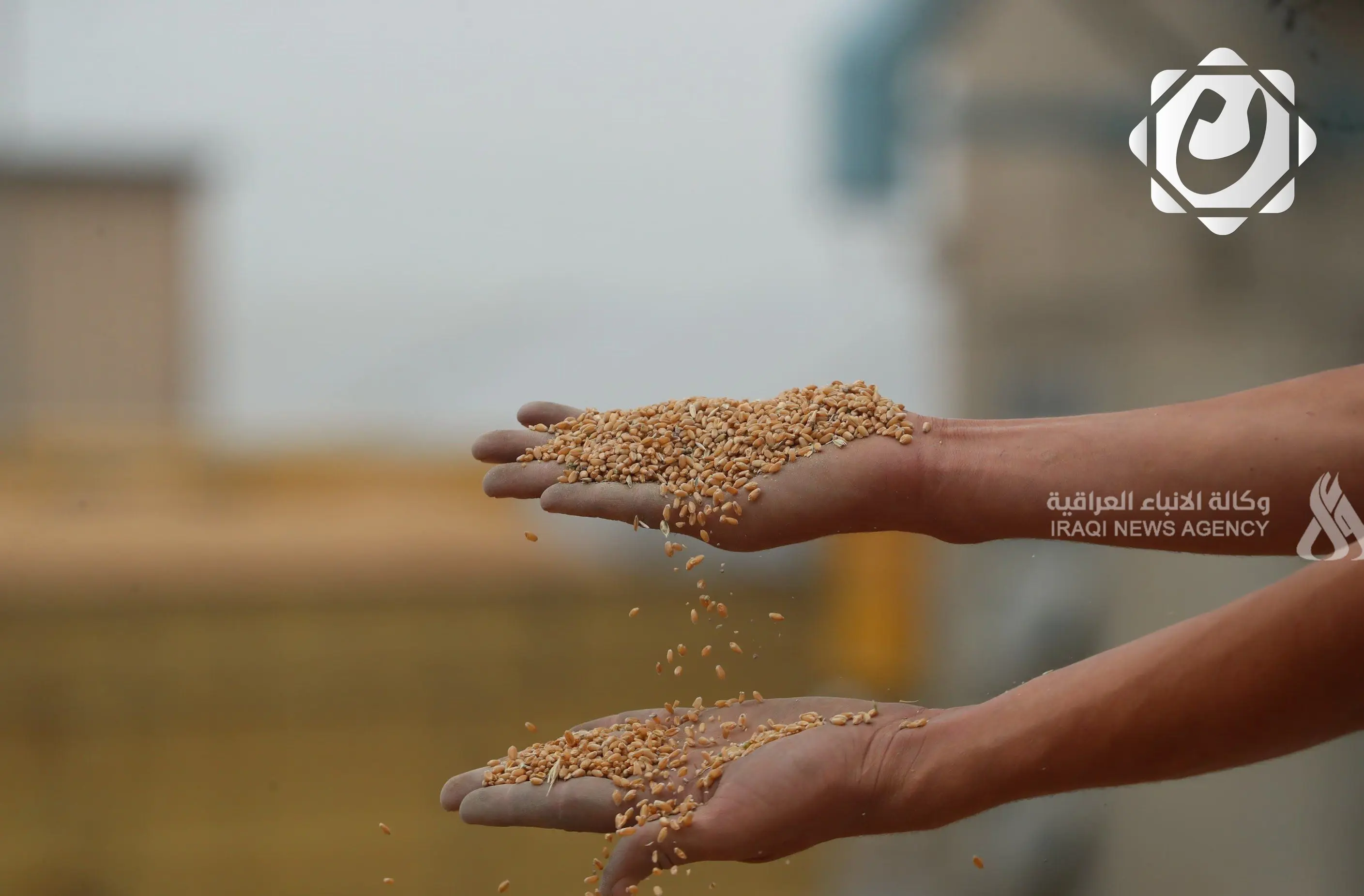 وزارة التجارة تؤكد توفر خزين من الحبوب والقمح يكفي لمدة 6 أشهر