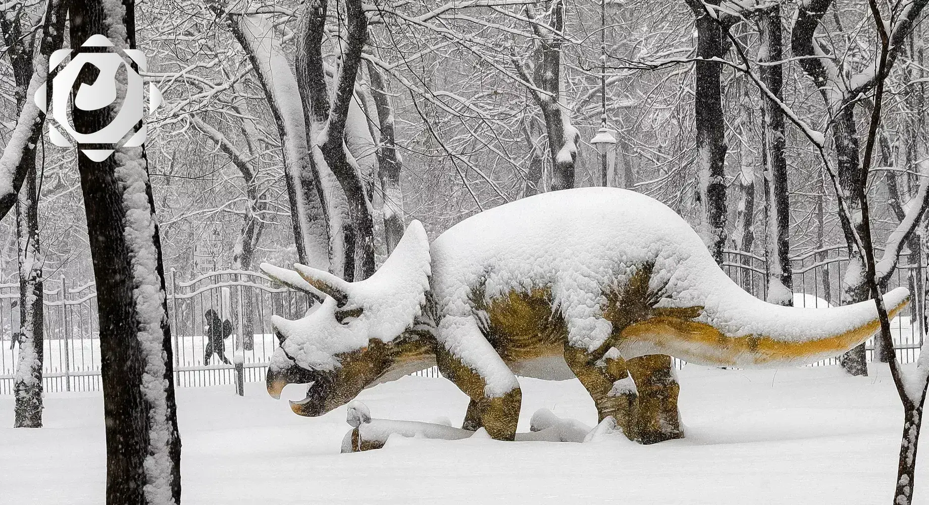 اكتشاف 158 بصمة ديناصور في شمال الصين