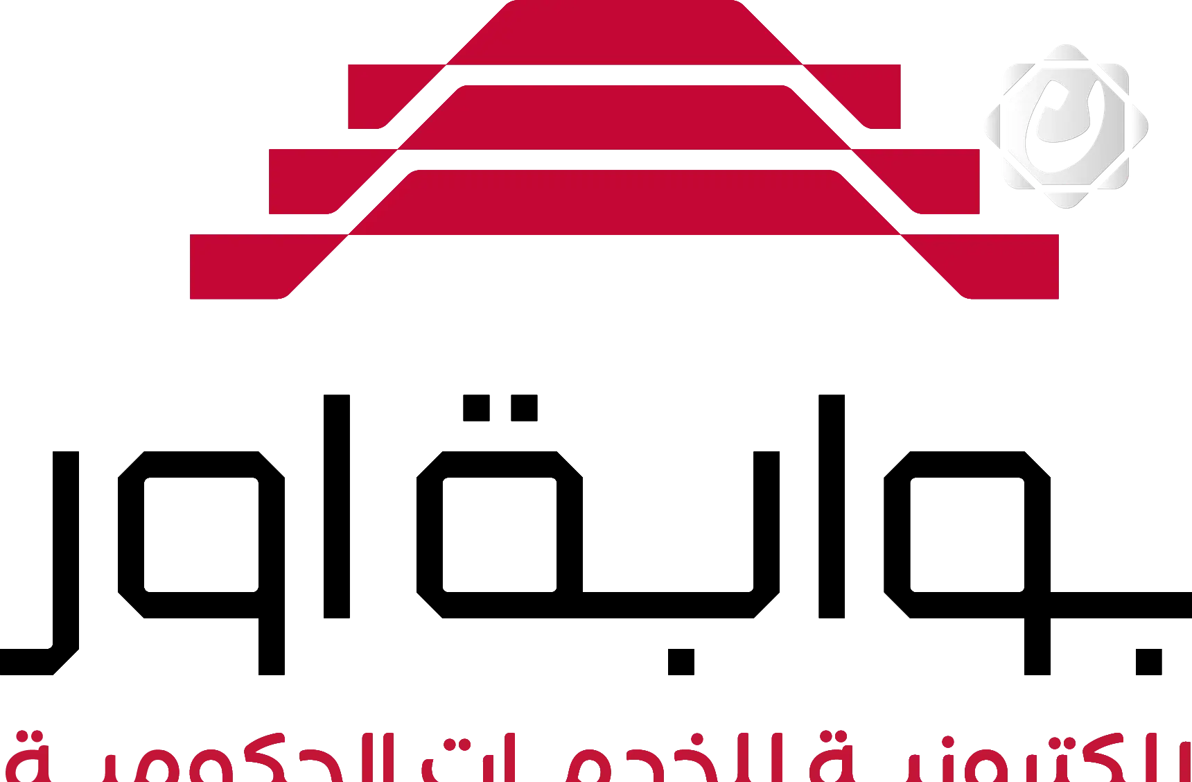 تحويل نحو 17 مليون وثيقة صحة صدور من ورقية إلى إلكترونية