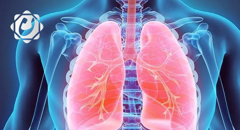 فرقة بحثية يابانية تنتج خلايا رئوية تعزز آفاق علاج أمراض التنفس