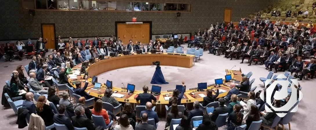 البرازيل والهند تطالبان بعضوية دائمة في مجلس الأمن الدولي