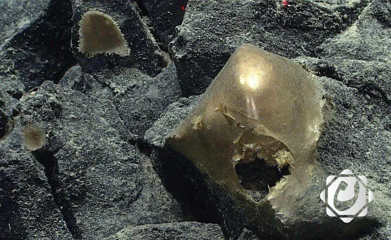 اكتشاف تراكيب جيولوجية غامضة تحت بحر الشمال