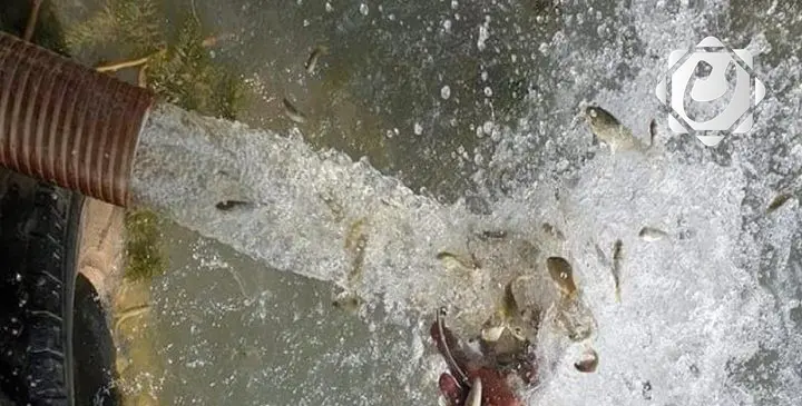 جامعة تكريت تطلق مبادرة بيئية بإطلاق 100 ألف إصبعية في نهر دجلة