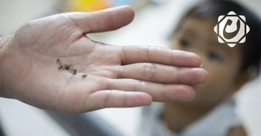 زيمبابوي تسجل وفاة المئات جراء مرض الملاريا