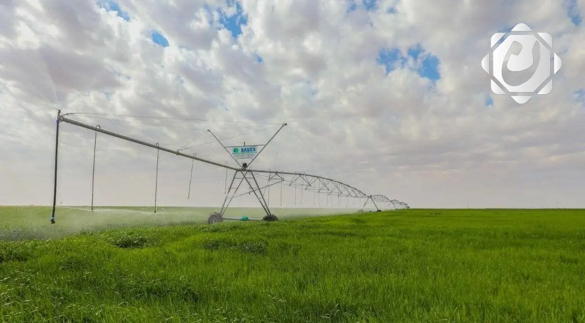 وزارة الزراعة: توزيع 13 ألف منظومة ري حديثة لتعزيز الإنتاج الزراعي