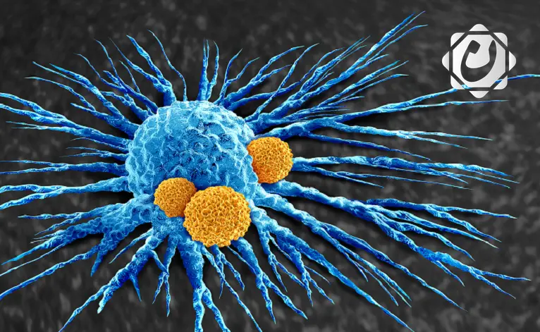 تطوير لقاح تجريبي يعزز فعالية العلاج المناعي للسرطان