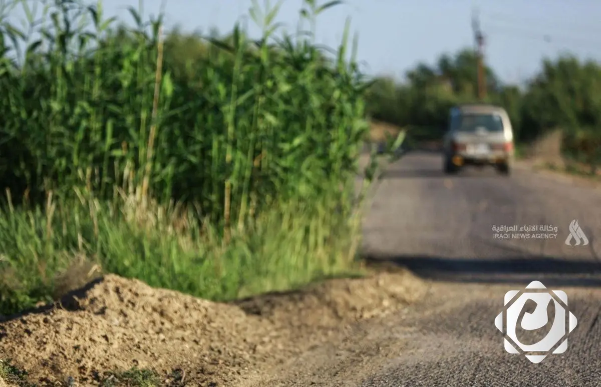 أمانة بغداد تُنجز فرز سبع مناطق زراعية وترسل بياناتها للتسجيل العقاري