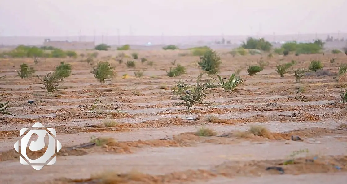 إعادة تأهيل واحة حديثة في الأنبار بدعم من البرنامج الإنمائي للأمم المتحدة