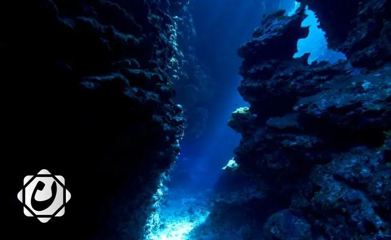 اكتشاف أشكال حياة فريدة في أعماق المحيط الهادئ