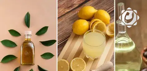 خمسة مكونات طبيعية للمساعدة في الوقاية من التجاعيد