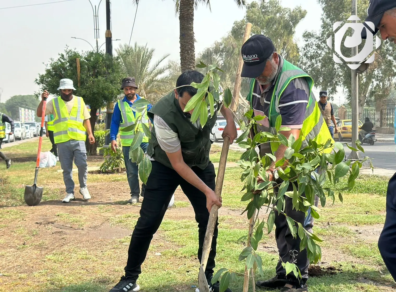 أمانة بغداد تستعد لإطلاق أكبر حملة تشجير وتوضح نسبة إنجاز مشروع الحزام الأخضر