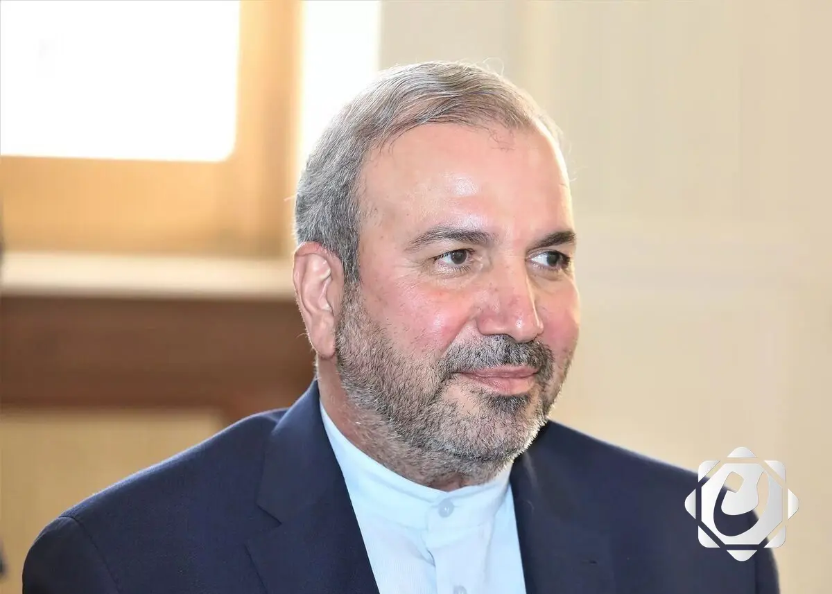 السفير الإيراني يشكر المرجعية والحكومة والشعب العراقي على نجاح زيارة الأربعين