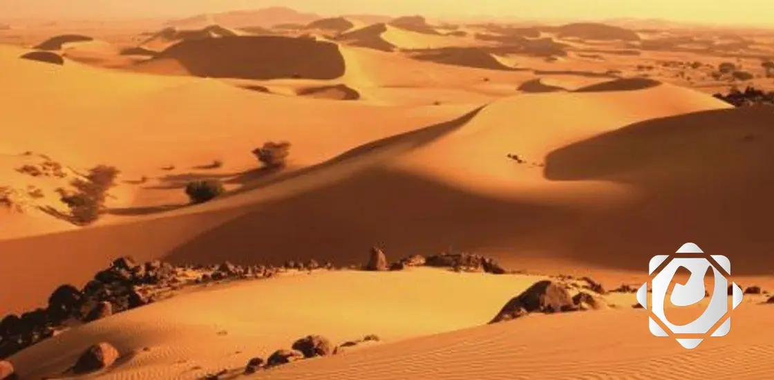 مصرع 35 مهاجراً في صحراء النيجر منذ بداية 2025