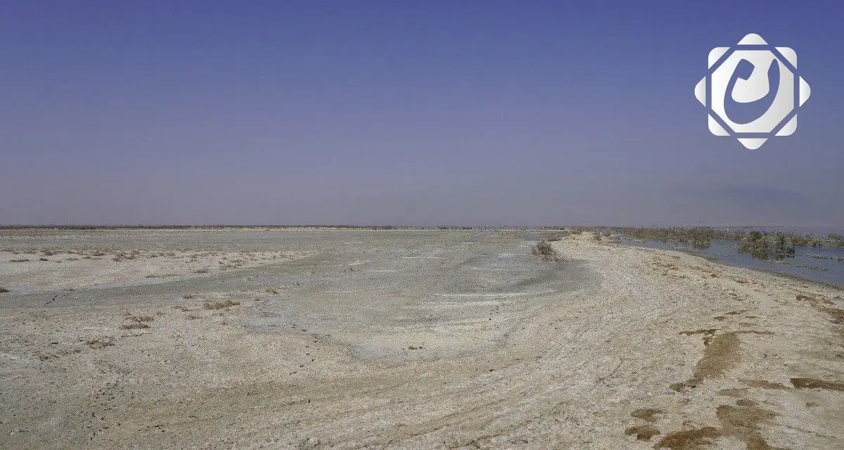 تشكيل فريق عمل لدراسة أسباب انخفاض مناسيب المياه في بحر النجف الأشرف