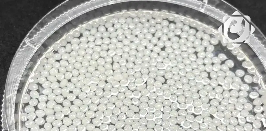 خرزات نباتية تُظهر فعالية في إنقاص الوزن