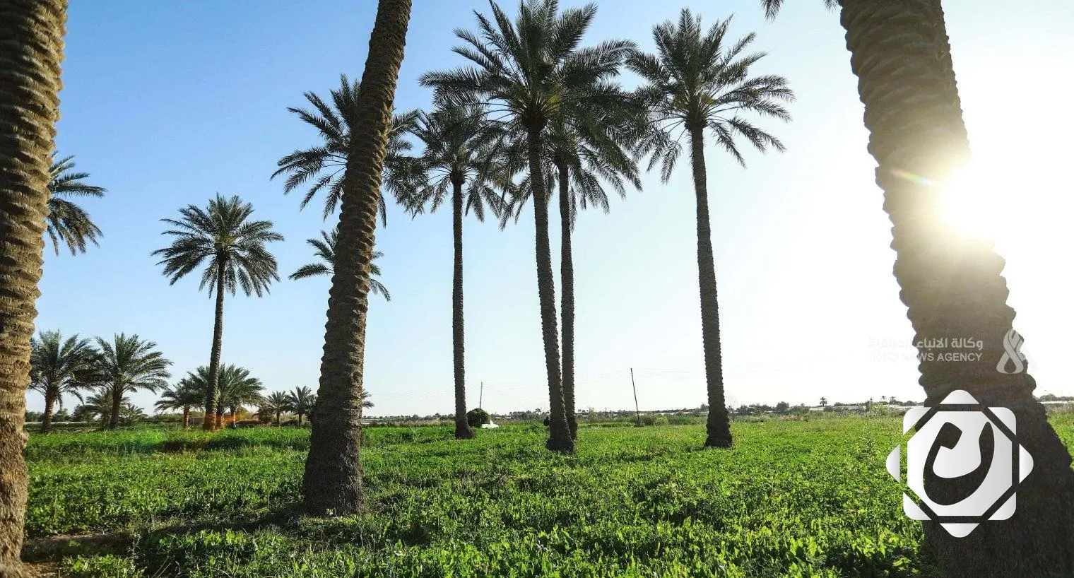 وزارة الزراعة: الخطة الشتوية تشمل زراعة 3 ملايين دونم باستخدام أنظمة الري الحديثة