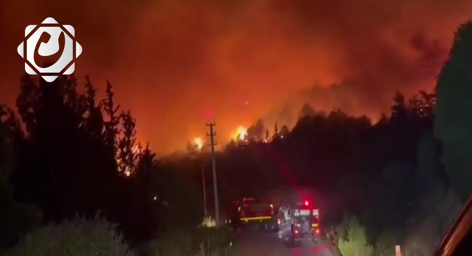 حرائق الغابات تدمر أكثر من مليون هكتار في الاتحاد الأوروبي منذ بداية 2025