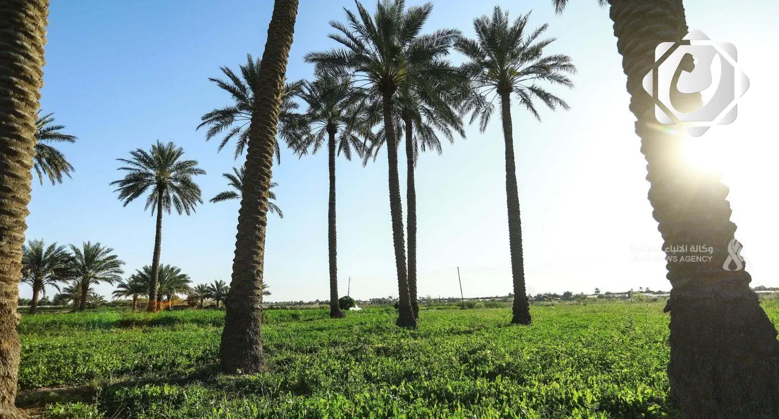 وزارة الزراعة تعتمد الزراعة الذكية لتوفير فرص عمل وتحسين البيئة