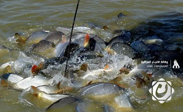 دعم حكومي لبحيرات الأسماك المغلقة لتعزيز الاستدامة وتقليل هدر المياه