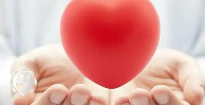 دراسة تكشف عن أطعمة تضر بصحة القلب
