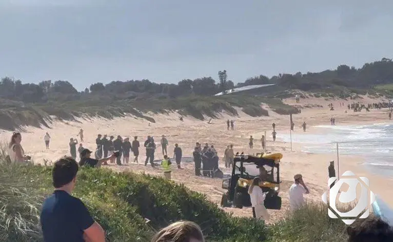 أستراليا تسجل أول وفاة بهجوم لسمكة قرش منذ ثلاث سنوات ونصف