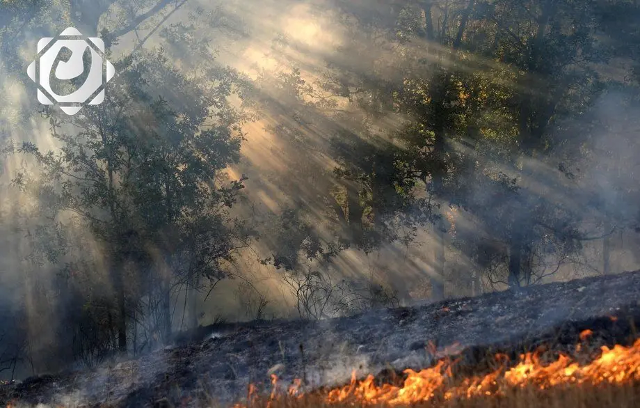 حرائق غابات جديدة تندلع في البرتغال وإسبانيا