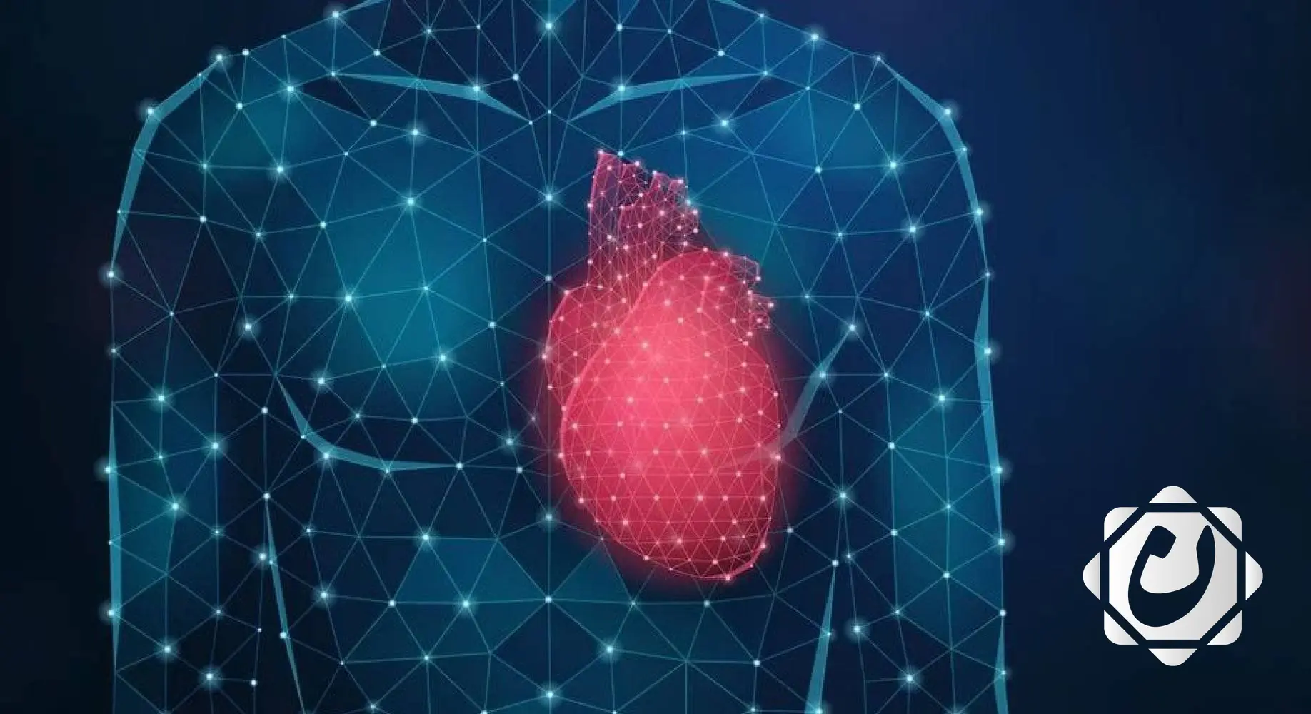 تأثير الإجهاد المزمن على القلب: دراسة جديدة تكشف التفاصيل على المستوى الخلوي