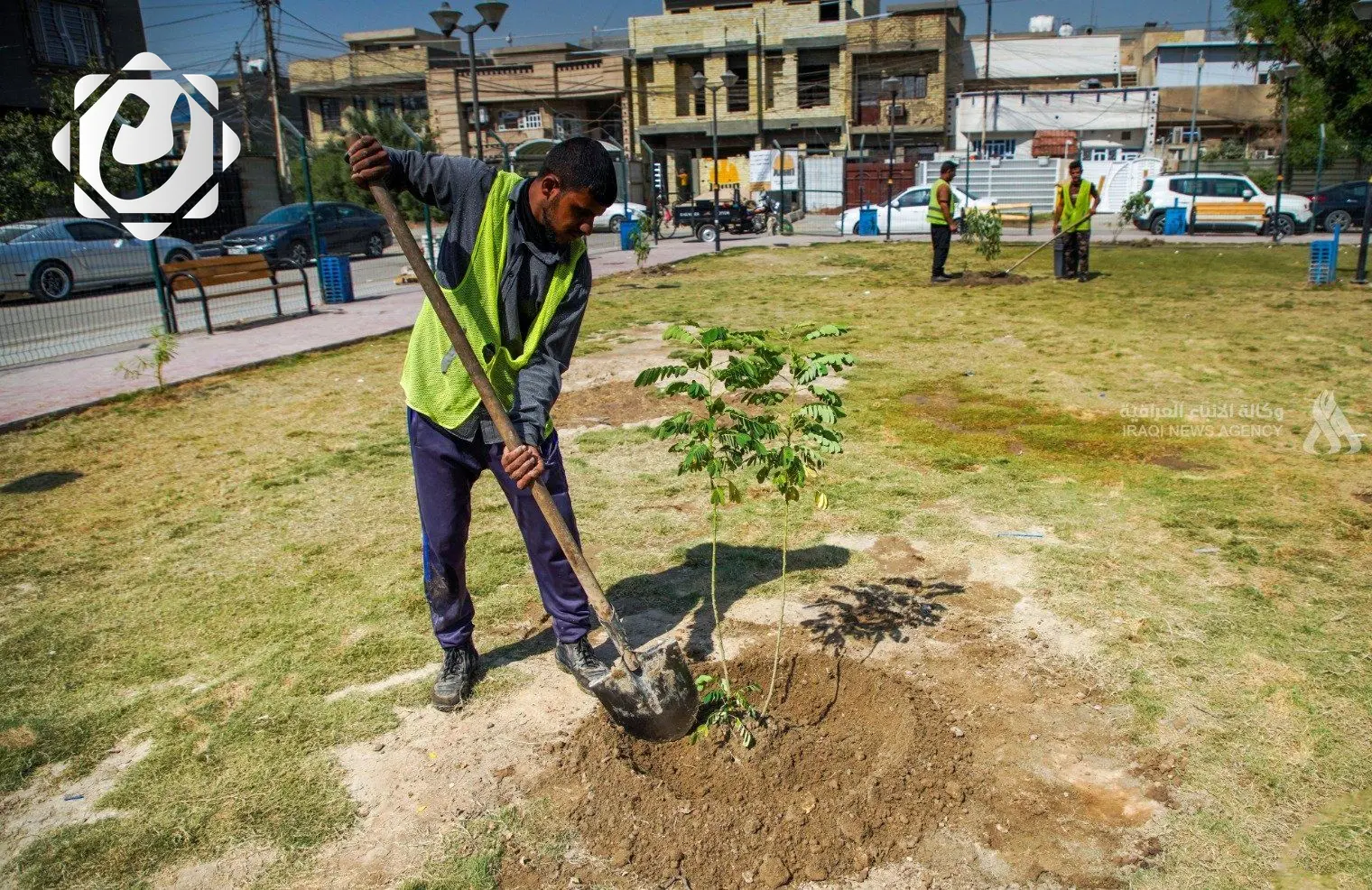 كركوك تطلق حملة تشجير كبرى لزيادة المساحات الخضراء ومكافحة التصحر