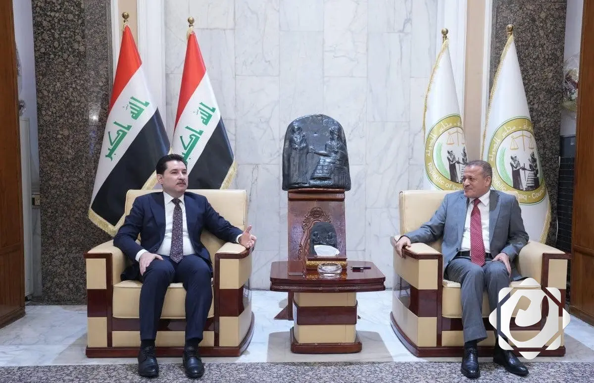 نائب رئيس البرلمان ورئيس مجلس الدولة يبحثان تعزيز التعاون التشريعي بين المؤسسات