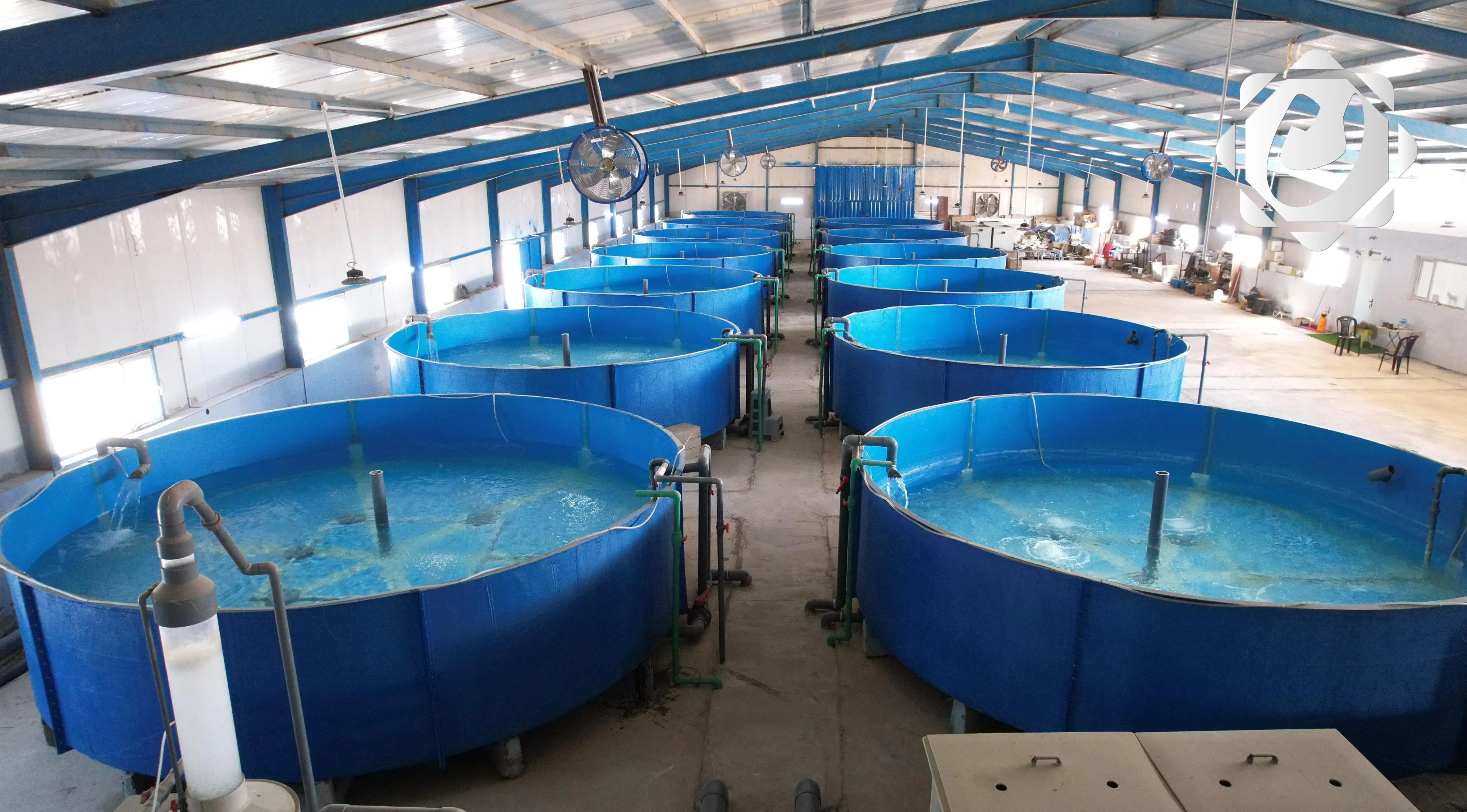 الوزارة تلزم مربي الأسماك بالتحول نحو الأحواض المغلقة