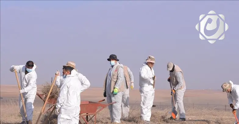 اكتشاف مقبرة جماعية جديدة في سنجار