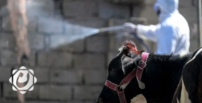 تسجيل 42 وفاة و296 إصابة بالحمى النزفية في العراق منذ بداية 2025