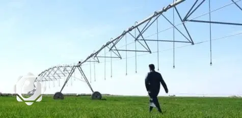 الزراعة: حظر استيراد 20 مادة زراعية بموجب قانون الحجر الزراعي