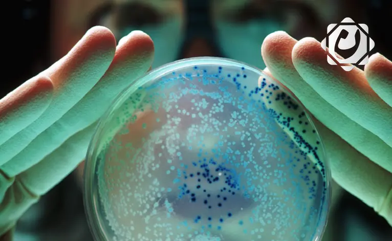 سحب فاكهة ملوثة ببكتيريا خطيرة في الولايات المتحدة