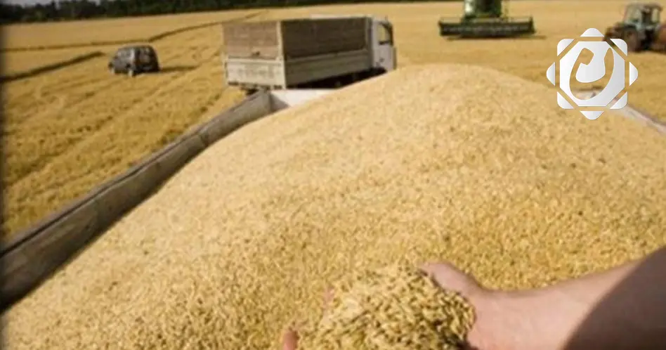 المالية تصرف الدفعة السادسة من مستحقات الفلاحين بقيمة 500 مليار دينار