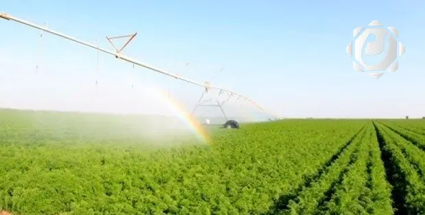 العراق يعتمد خطة شتوية لزراعة 3.5 ملايين دونم باستخدام الآبار والري الحديث