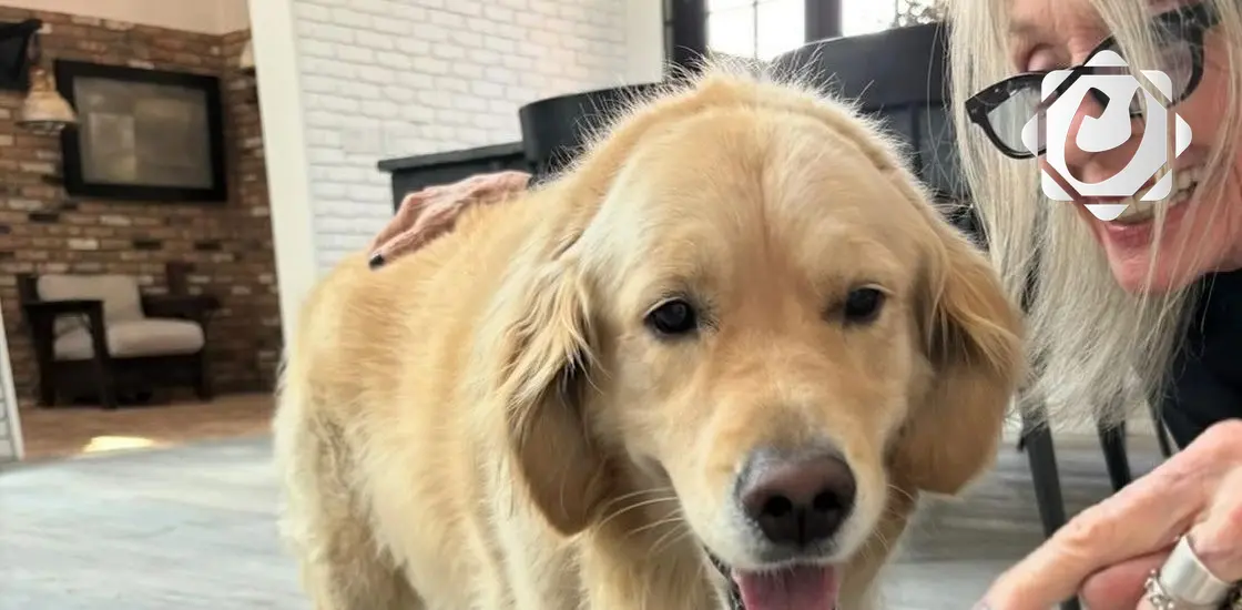 وصية الممثلة الراحلة ديان كيتون تثير الجدل بتخصيص 5 ملايين دولار لكلبها "ريجي"