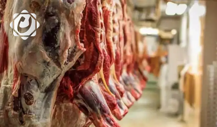 تشكيل لجان بيطرية لفحص اللحوم وضمان سلامتها للاستهلاك