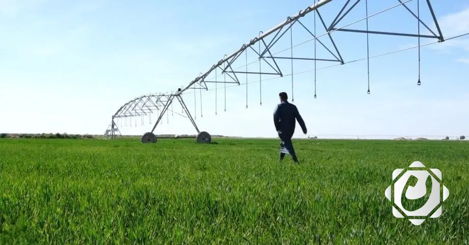 العراق يقر الخطة الزراعية للموسم الشتوي