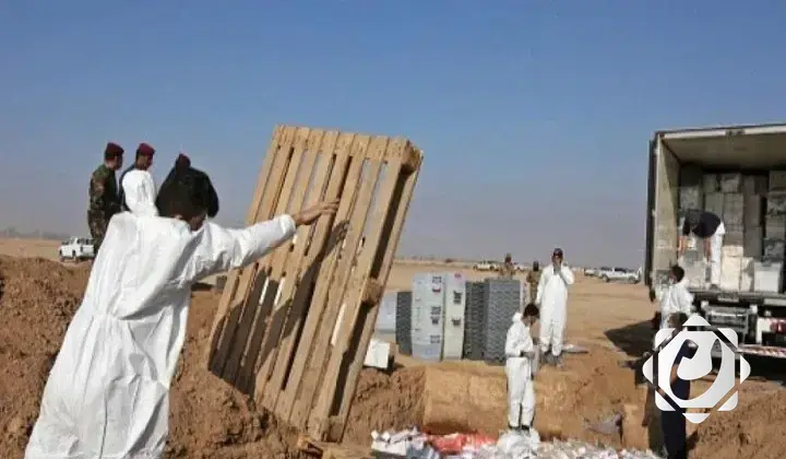 إتلاف أكثر من 26 ألف طن من المواد المخدرة في العراق