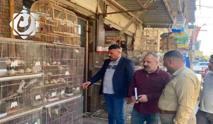 ديالى تطلق حملة لمكافحة الاتجار بالحيوانات البرية