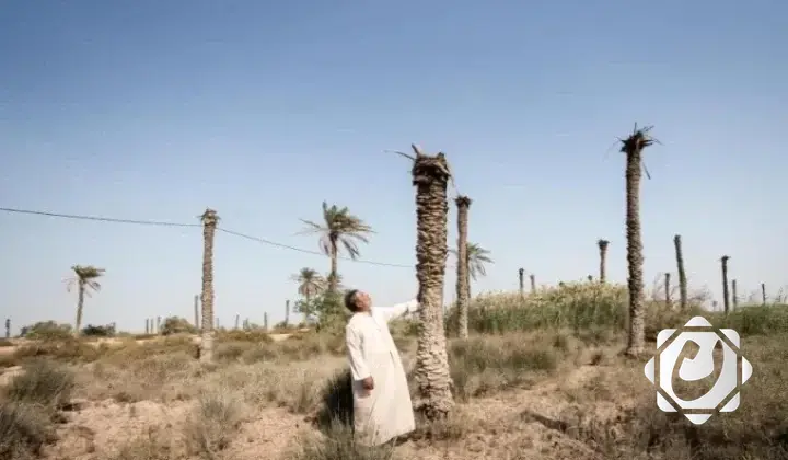 العراق يحصل على تمويل يزيد عن 20 مليون دولار لدعم مشاريعه المناخية